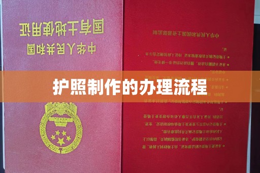 天镇护照制作的办理流程