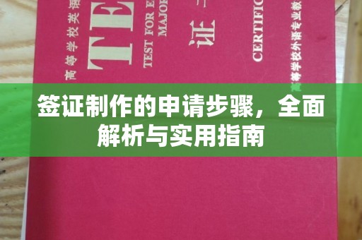 天镇签证制作的申请步骤，全面解析与实用指南