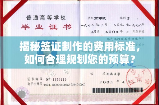 天镇揭秘签证制作的费用标准，如何合理规划您的预算？