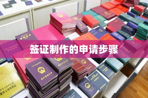 天镇签证制作的申请步骤