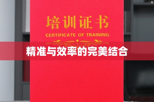 天镇精准与效率的完美结合